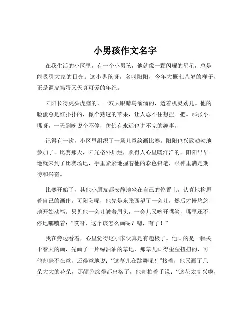 小男孩作文名字