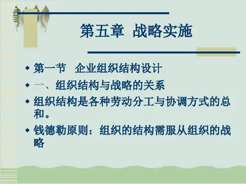 CPA公司战略与风险管理战略实施PPT课件( 46页)