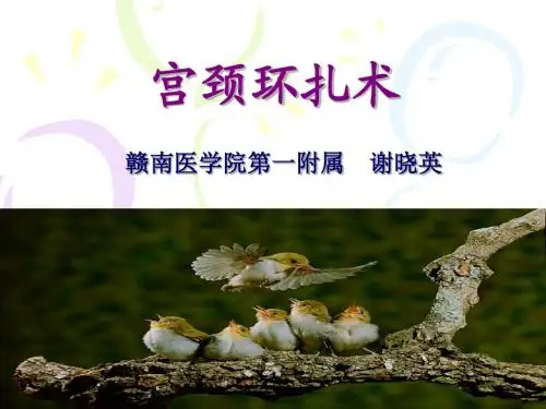 宫颈内口环扎术