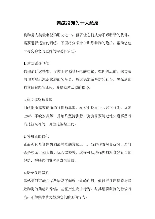 训练狗狗的十大绝招
