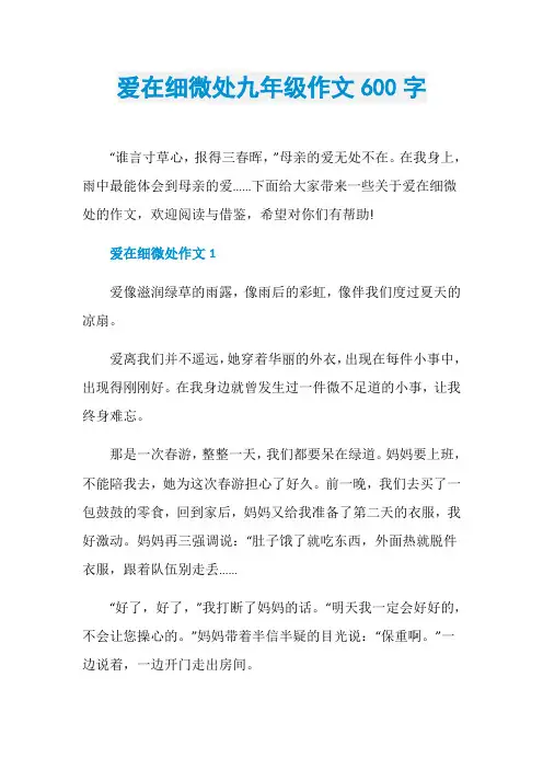 爱在细微处九年级作文600字