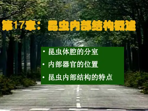 昆虫的结构和生理课件