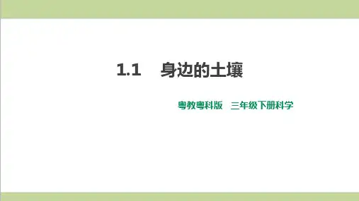 (新教材)粤教版三年级下册科学全册教学课件