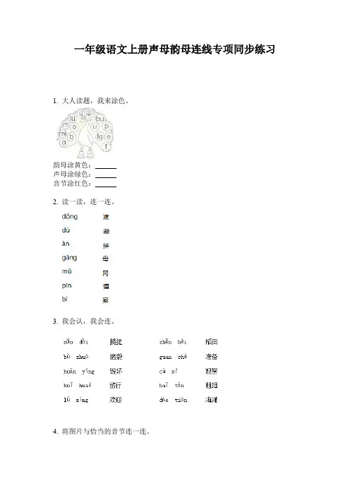 一年级语文上册声母韵母连线专项同步练习
