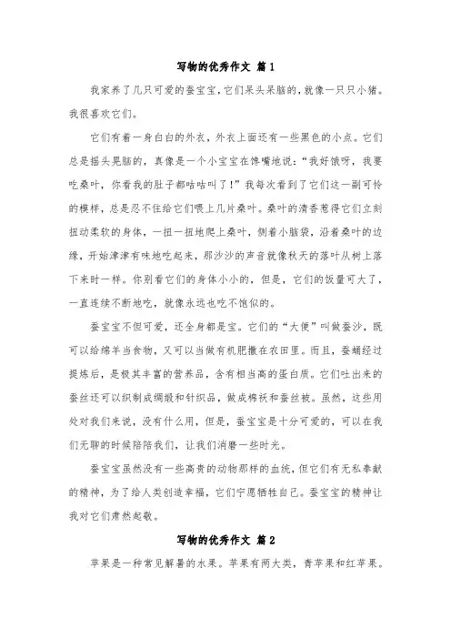 写物的作文500字以上优秀范文(五年级)