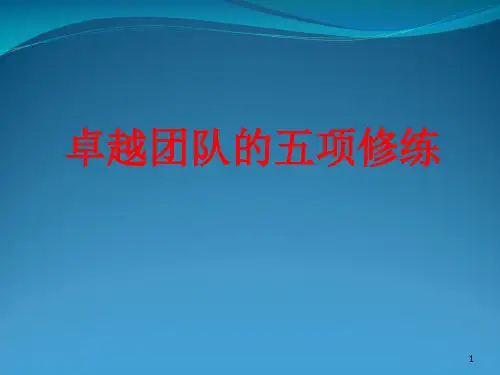 卓越团队的五项修炼课程