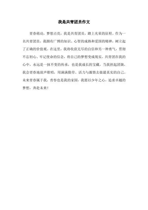 我是共青团员作文
