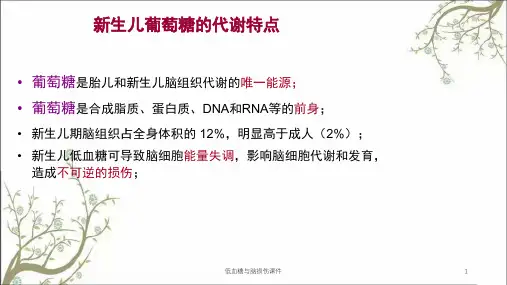 低血糖与脑损伤课件