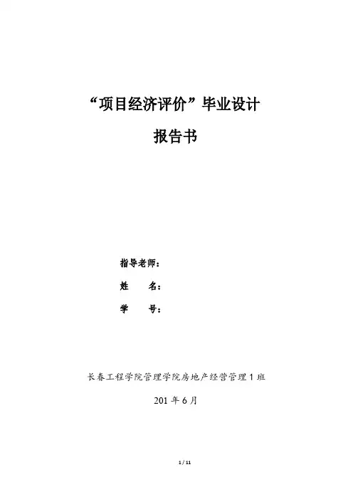 项目经济评价报告书