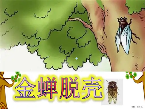 《金蝉脱壳》课件