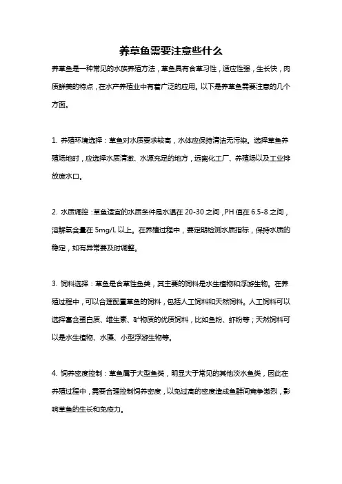 养草鱼需要注意些什么