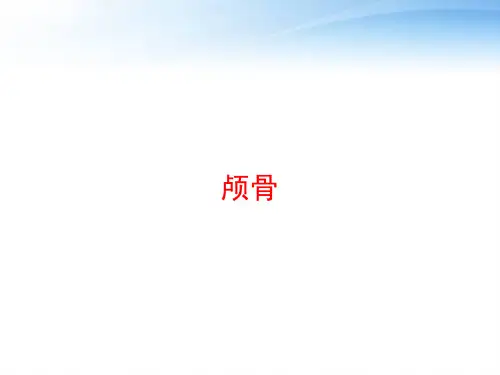 颅骨 ppt课件