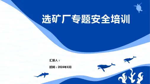 选矿厂专题安全培训