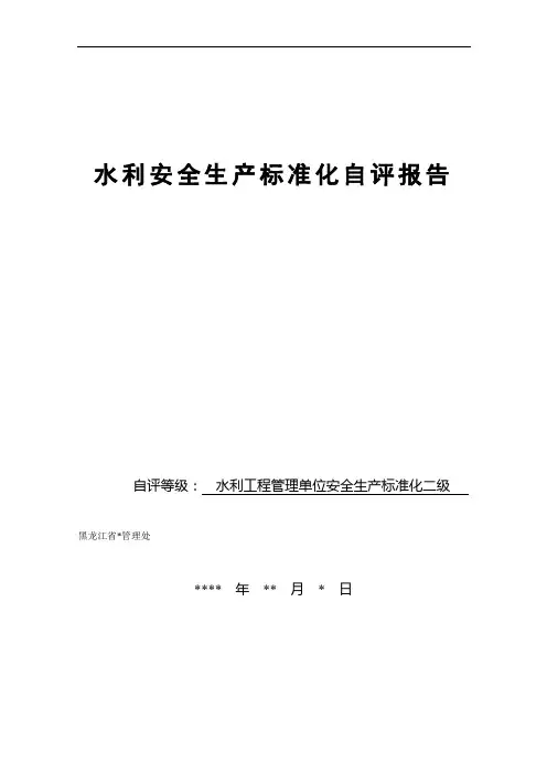 水利安全生产标准化自评报告及其附件