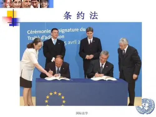 第八章 条约法