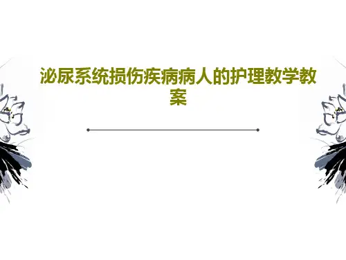 泌尿系统损伤疾病病人的护理教学教案共97页