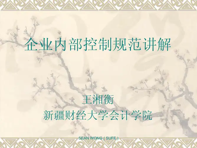企业内部控制规范及理论