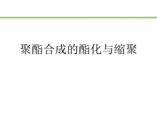 聚酯合成的酯化与缩聚