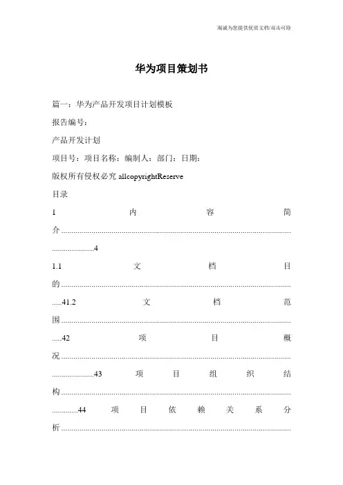 华为项目策划书
