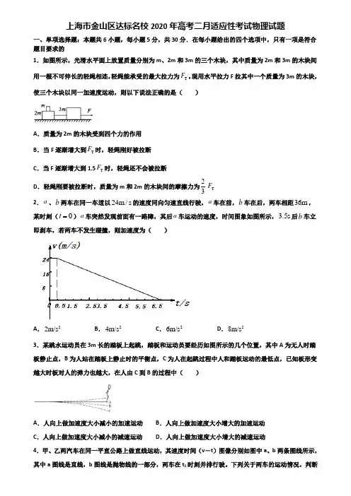 上海市金山区达标名校2020年高考二月适应性考试物理试题含解析