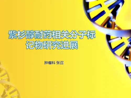 紫杉醇类耐药相关分子标记物研究进展