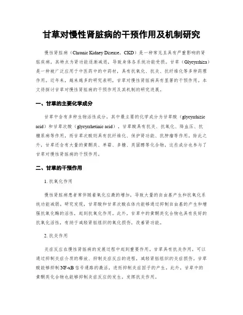 甘草对慢性肾脏病的干预作用及机制研究