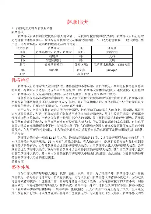 萨摩耶犬