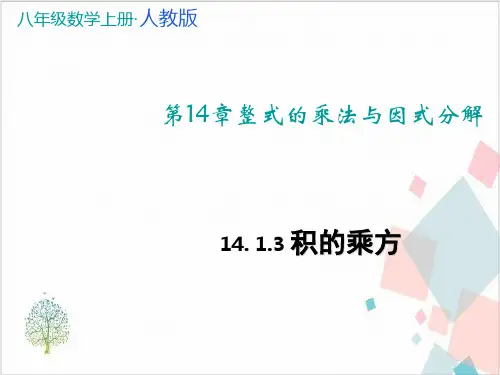 《整式的乘法与因式分解》_完美课件