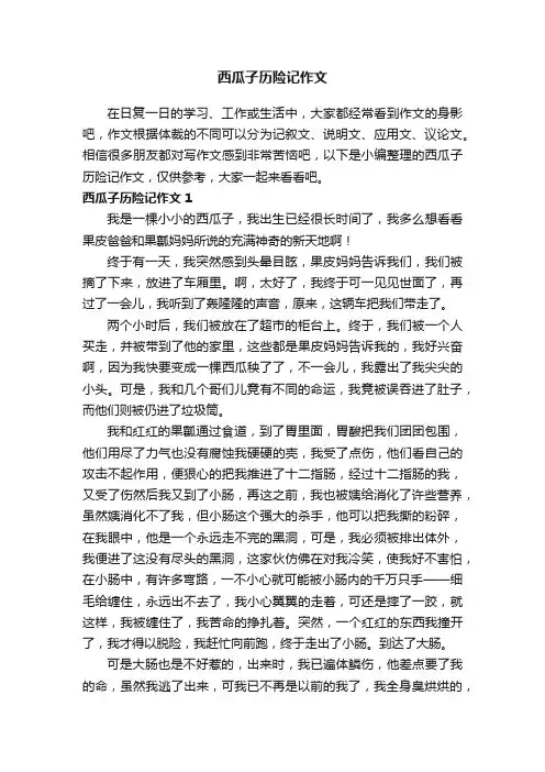 西瓜子历险记作文4篇