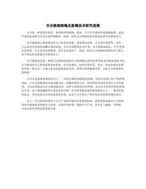 百合致病病毒及脱毒技术研究进展