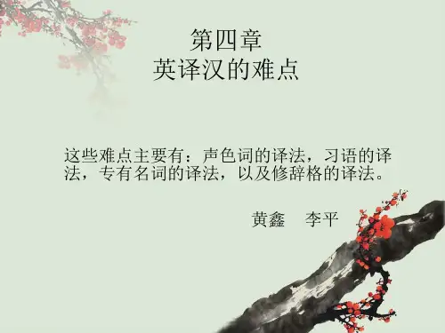 翻译理论与实践翻译难点