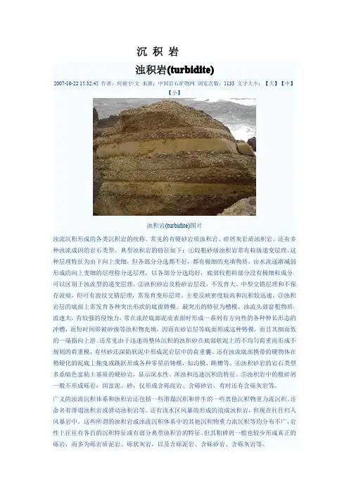 沉积岩图片