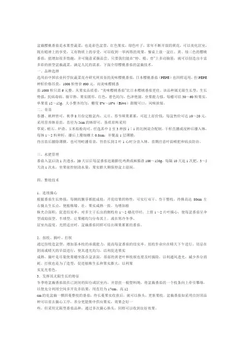 家庭樱桃番茄怎样盆栽