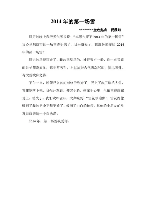 2014年的第一场雪