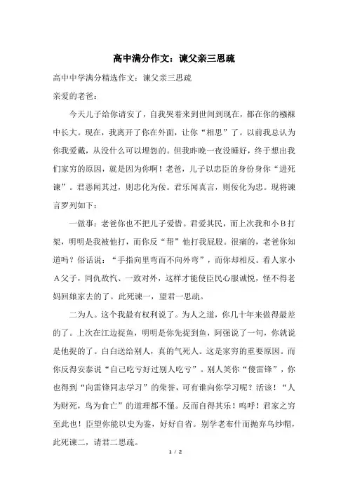 高中满分作文：谏父亲三思疏