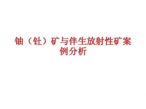 铀(钍)矿与伴生(案例)