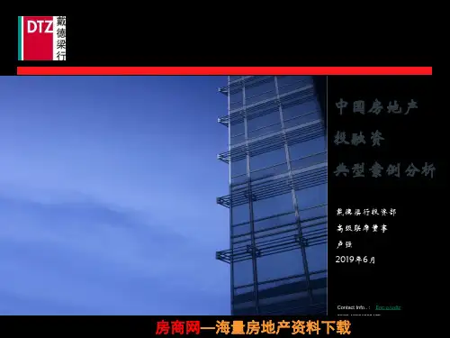 房地产市场研究报告 戴德梁行2019年6月中国房地产投融资典型案例分析 28页PPT文档