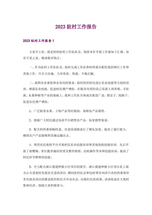 2023驻村工作报告