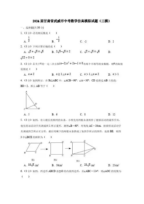 2024届甘肃省武威市中考数学仿真模拟试题(三模)含答案