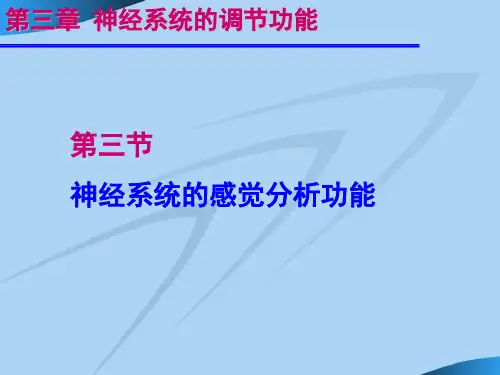 运动生理学 神经系统的调节功能第三章第三节