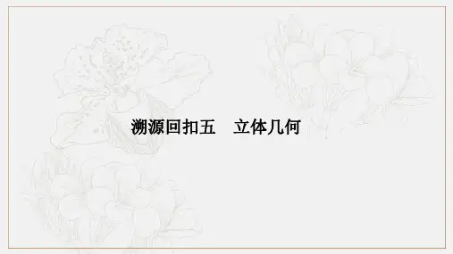 2019届高三数学(理)二轮专题复习课件：考前冲刺四 溯源回扣五 立体几何 .pdf