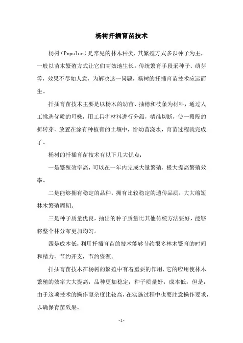 杨树扦插育苗技术