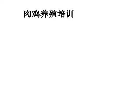 肉鸡养殖培训_ppt课件