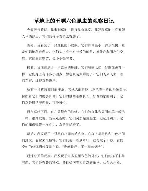 小学三年级作文草地上的五颜六色昆虫的观察日记