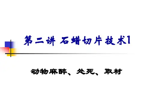 第二讲  石蜡切片技术1：动物麻醉与取材