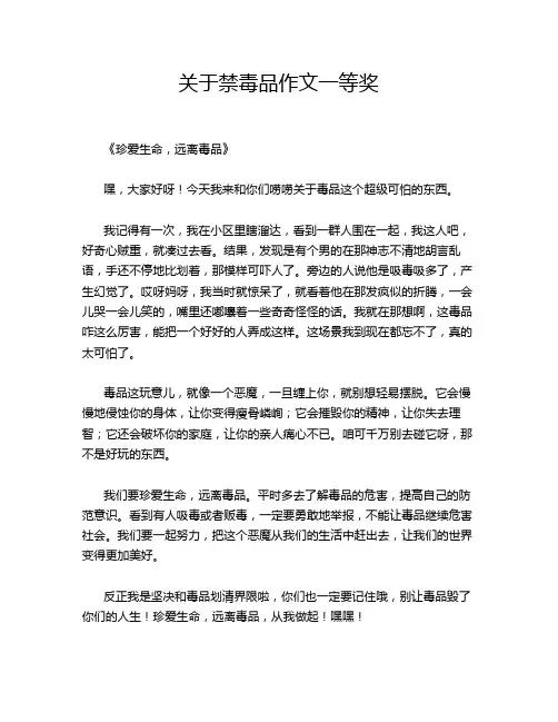 关于禁毒品作文一等奖