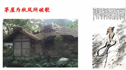 《茅屋为秋风所破歌》ppt课件
