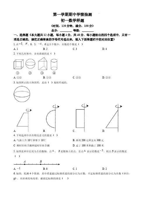 山东省泰安市泰山区2024-2025学年七年级上学期期中数学试题