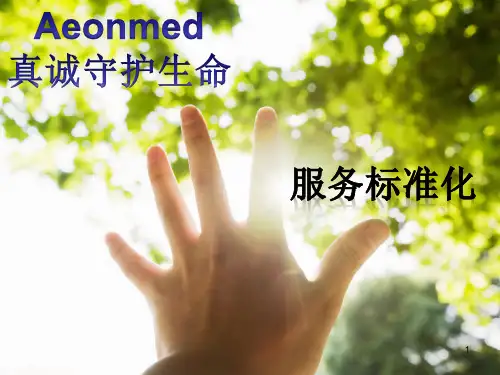 服务标准化PPT课件
