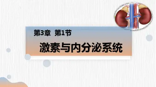 3.1 激素与内分泌系统(第二课时)高二生物课件(人教版2019选择性必修1)